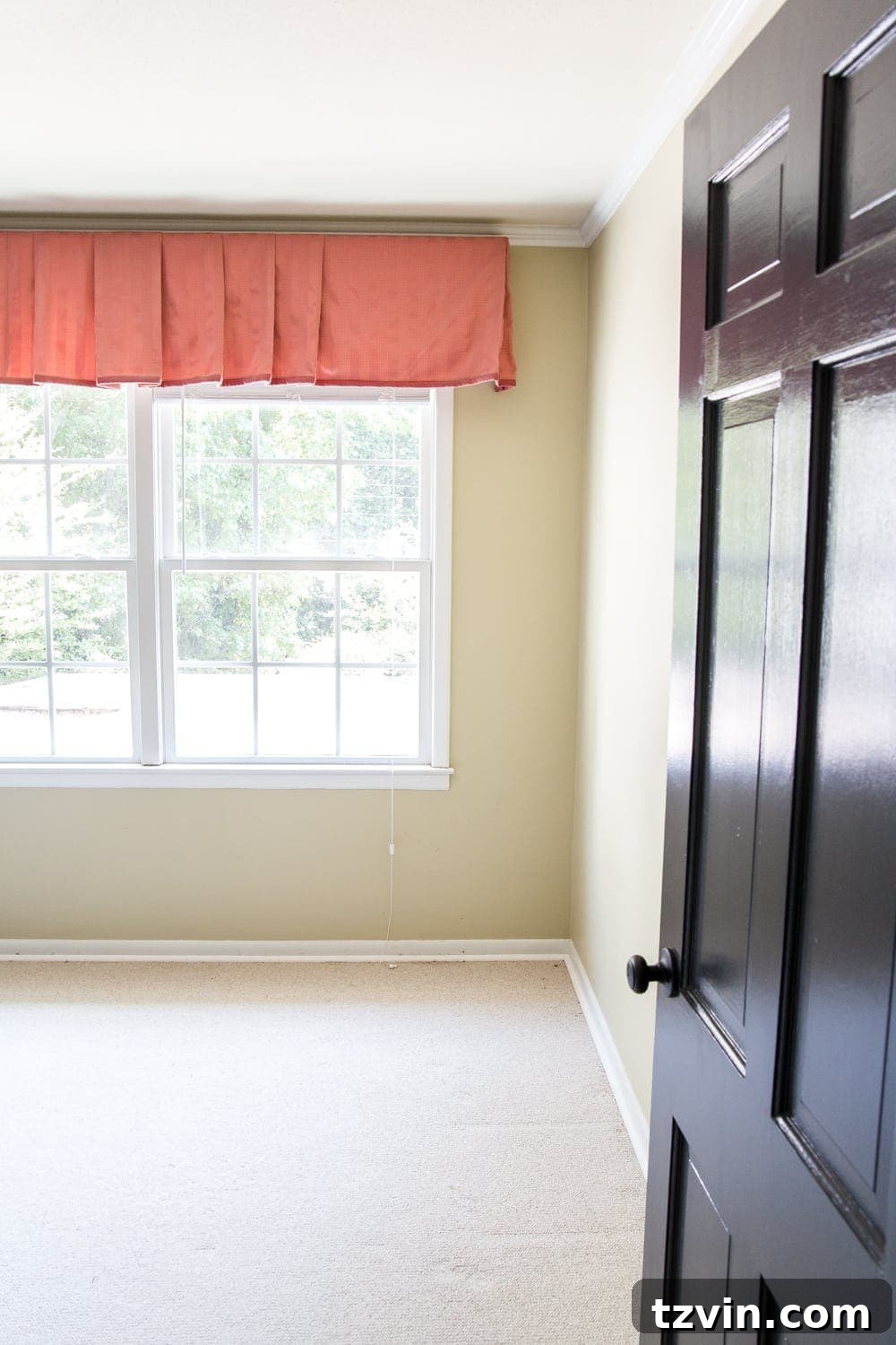 Blossoming Dreams: White Floral Nursery Reveal 4 Nursery before with an old ceiling fan and carpet.