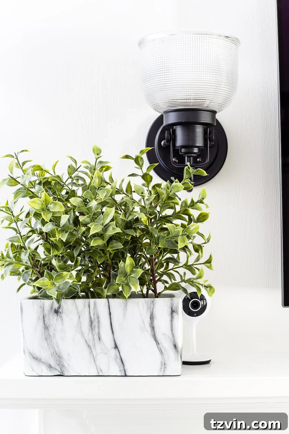 15 Stylish Secrets to Hide Household Eyesores 24 Place small electronics, cameras, and routers beside or behind plants.