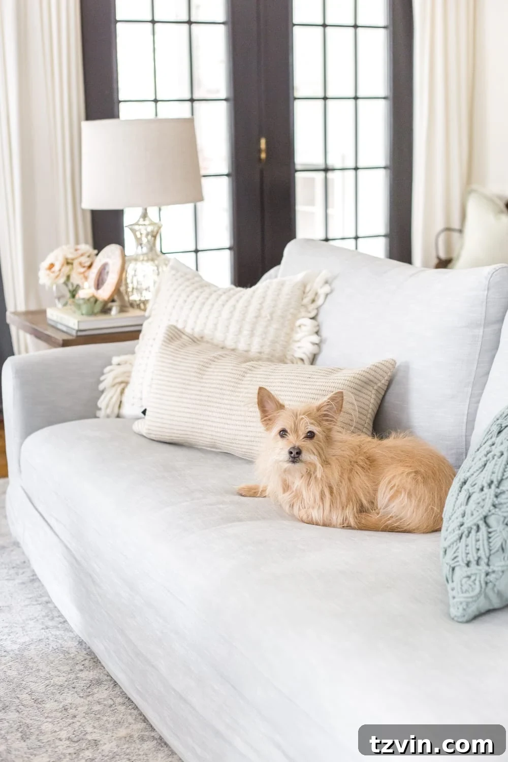 My Spring Oasis: A Home Tour 25 Comfortable living room setting with a pet, showcasing a relaxed and inviting atmosphere.