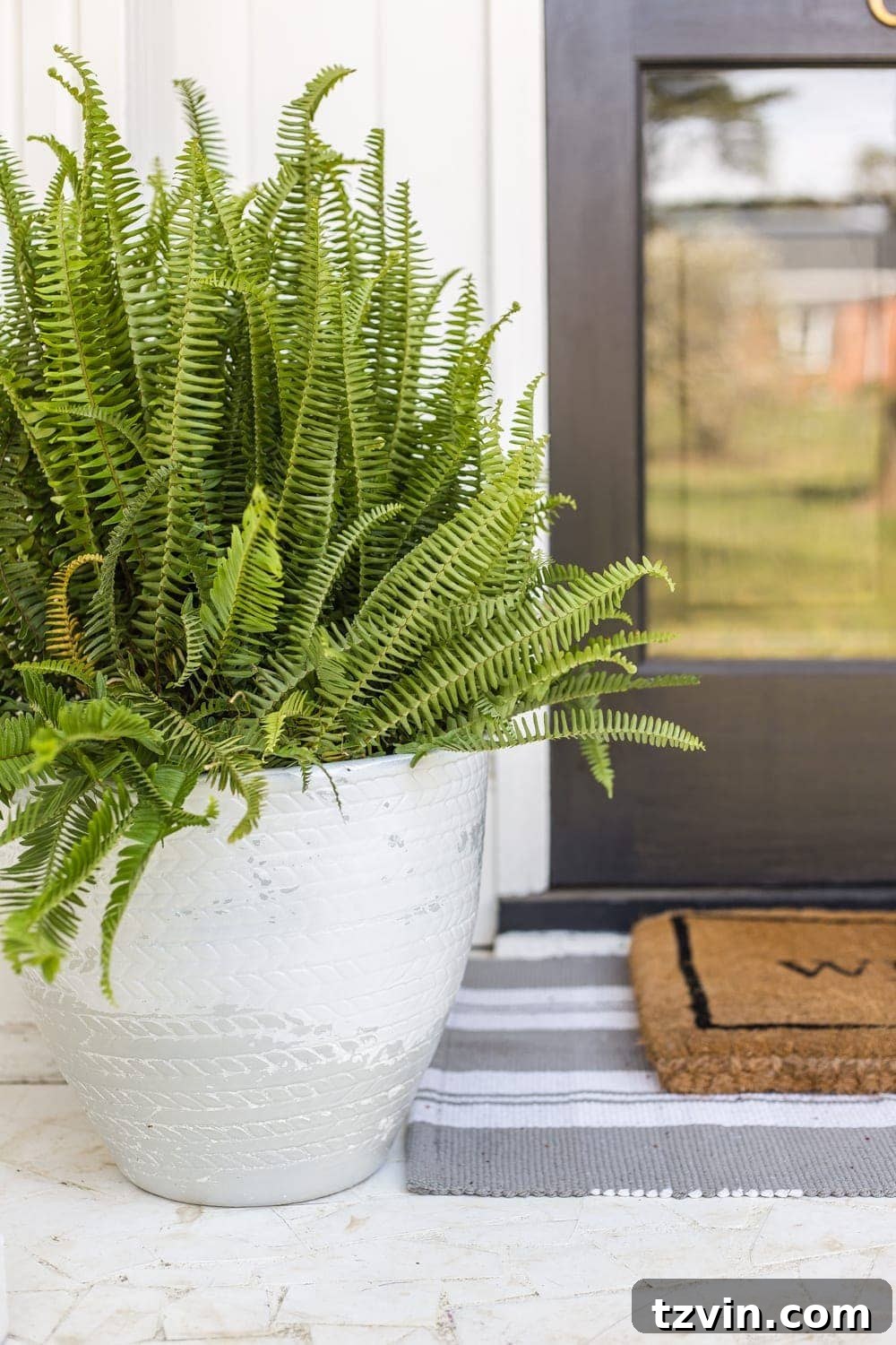 Springtime Front Porch Makeover 7 Statement Plants on Porch