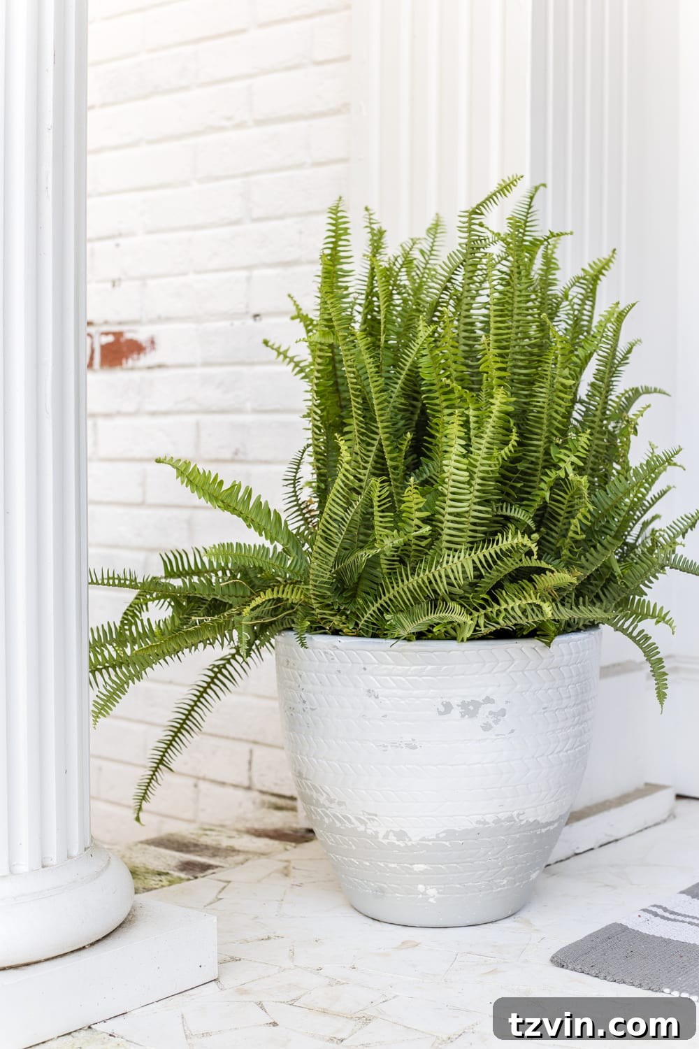 Master Distress Effortlessly: The Single Trick Revealed 8 How to Distress Anything With 1 Simple Trick | Pottery Barn look-alike Tuscan style weathered planters using just spray paint