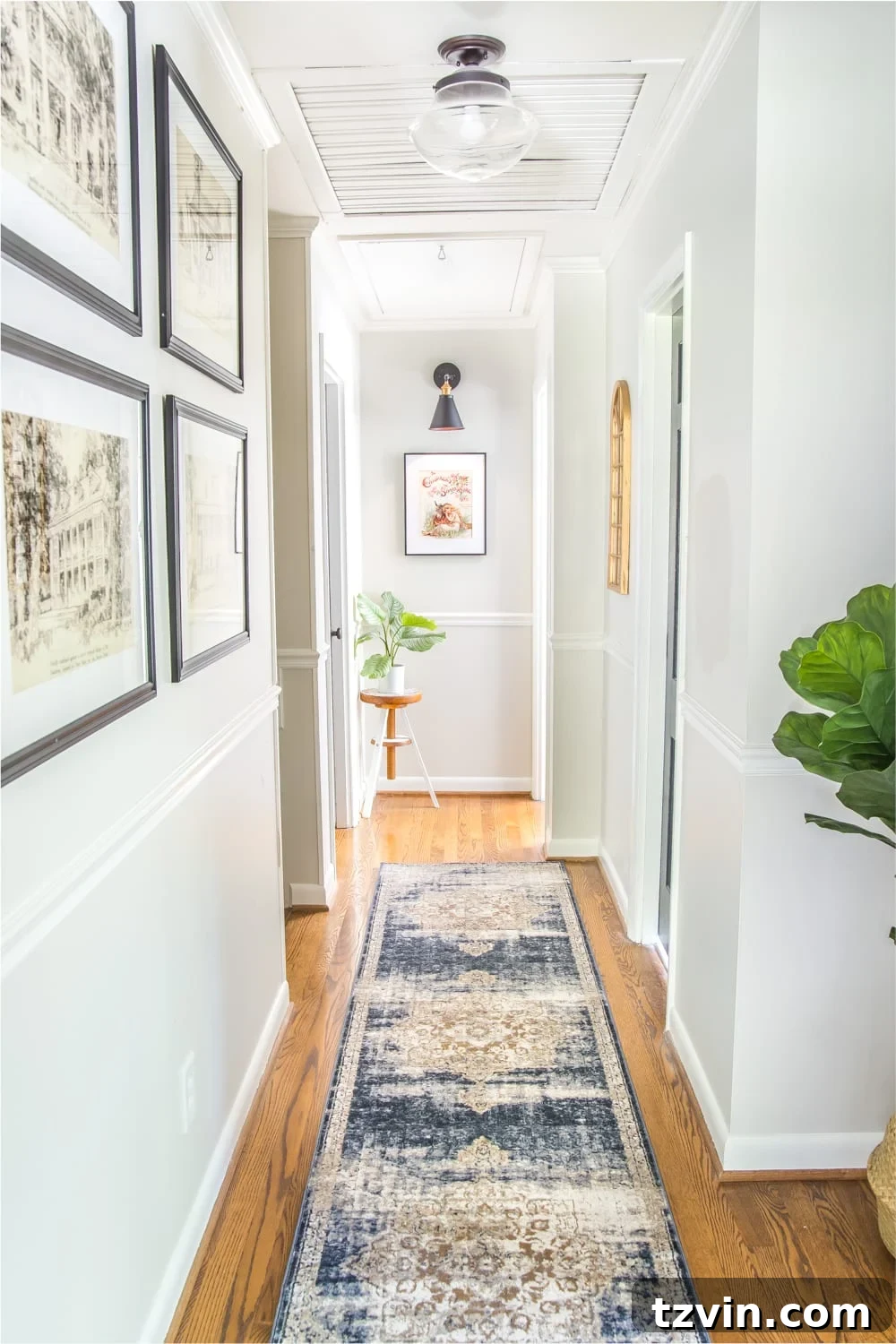 hallway decor ideas - light gray painted walls in narrow hallway with runner, wall decor, and plants
