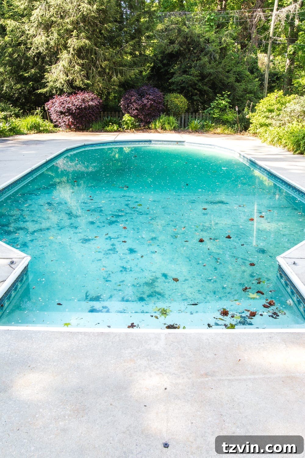 Backyard Before Tour and Pool Makeover Plans | blesserhouse.com - How to improve an outdated vinyl liner pool