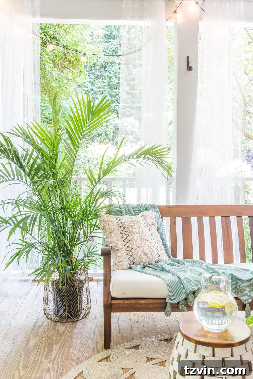 Close-up of a live palm plant in a stylish brass wire basket on a tropical boho back porch.