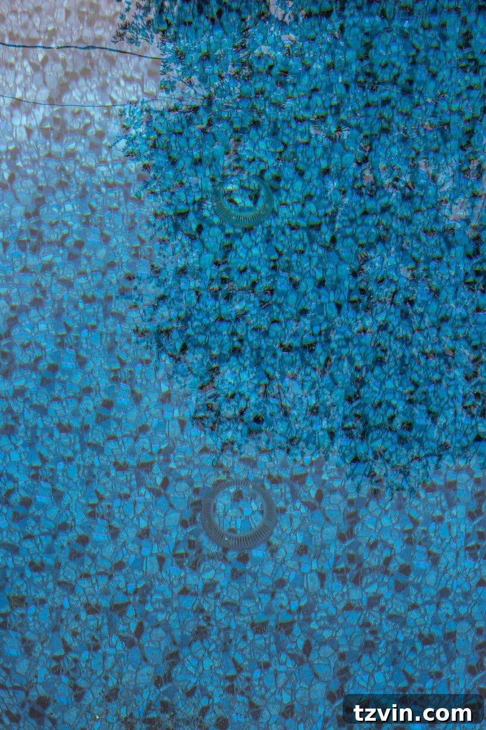 ColorMagic drain covers installed, blending seamlessly with the Obsidian pool liner