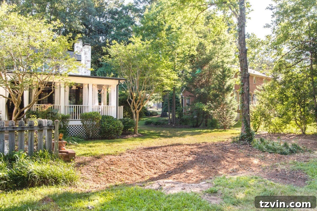 Backyard Landscaping - Before and After