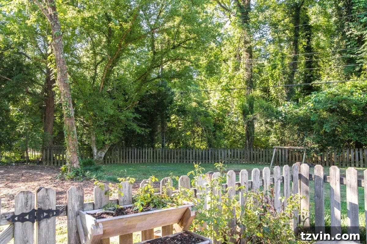 Backyard Landscaping Progress - Showing the Open Space