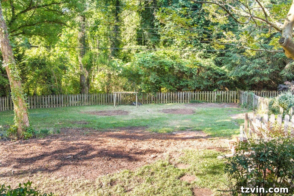 Backyard Landscaping - Tree Removal