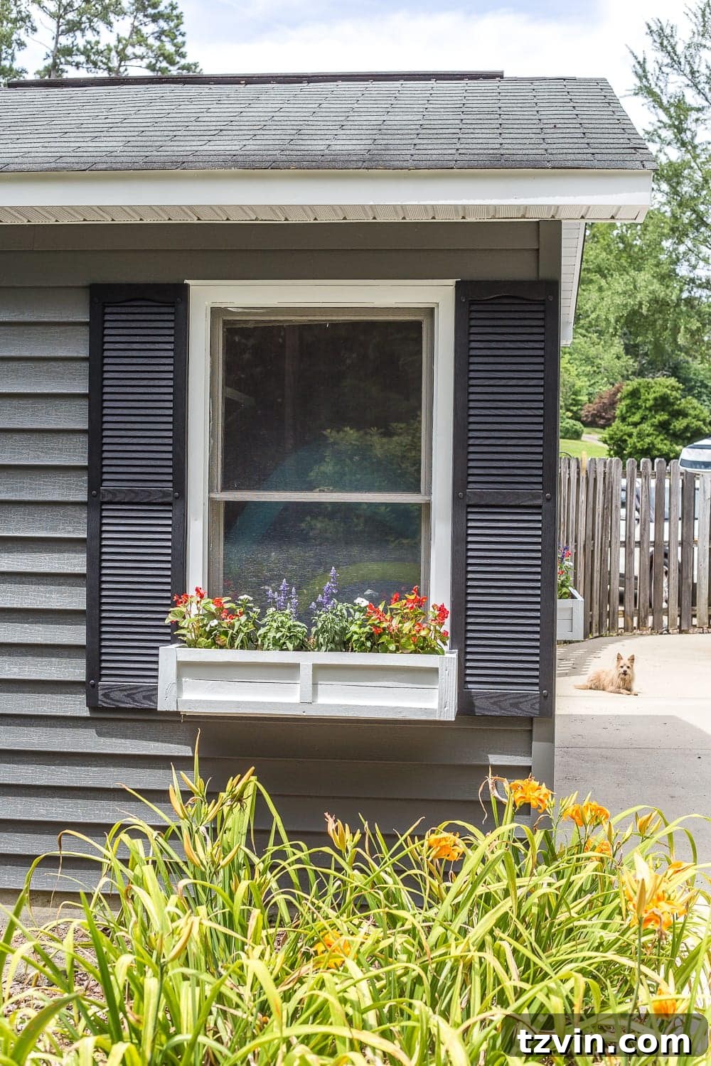 Pool shed with freshly painted dark gray vinyl siding, white trim, and new black vinyl shutters
