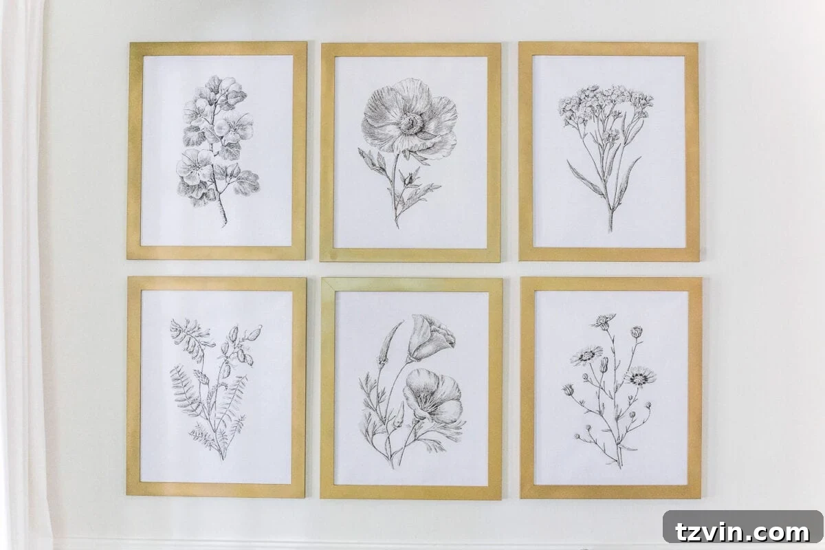 Modern Botanical Elegance Prints 5 Stylish wall decor featuring modern minimalist botanical prints in black and white frames, enhanced with aged brass spray paint.