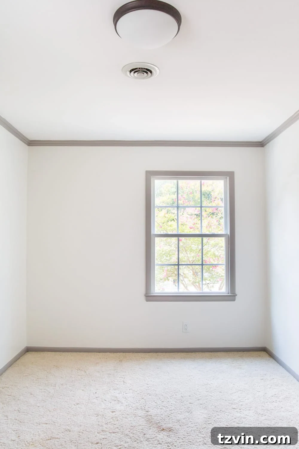 Guest bedroom with newly painted white walls and gray trim, awaiting further decoration