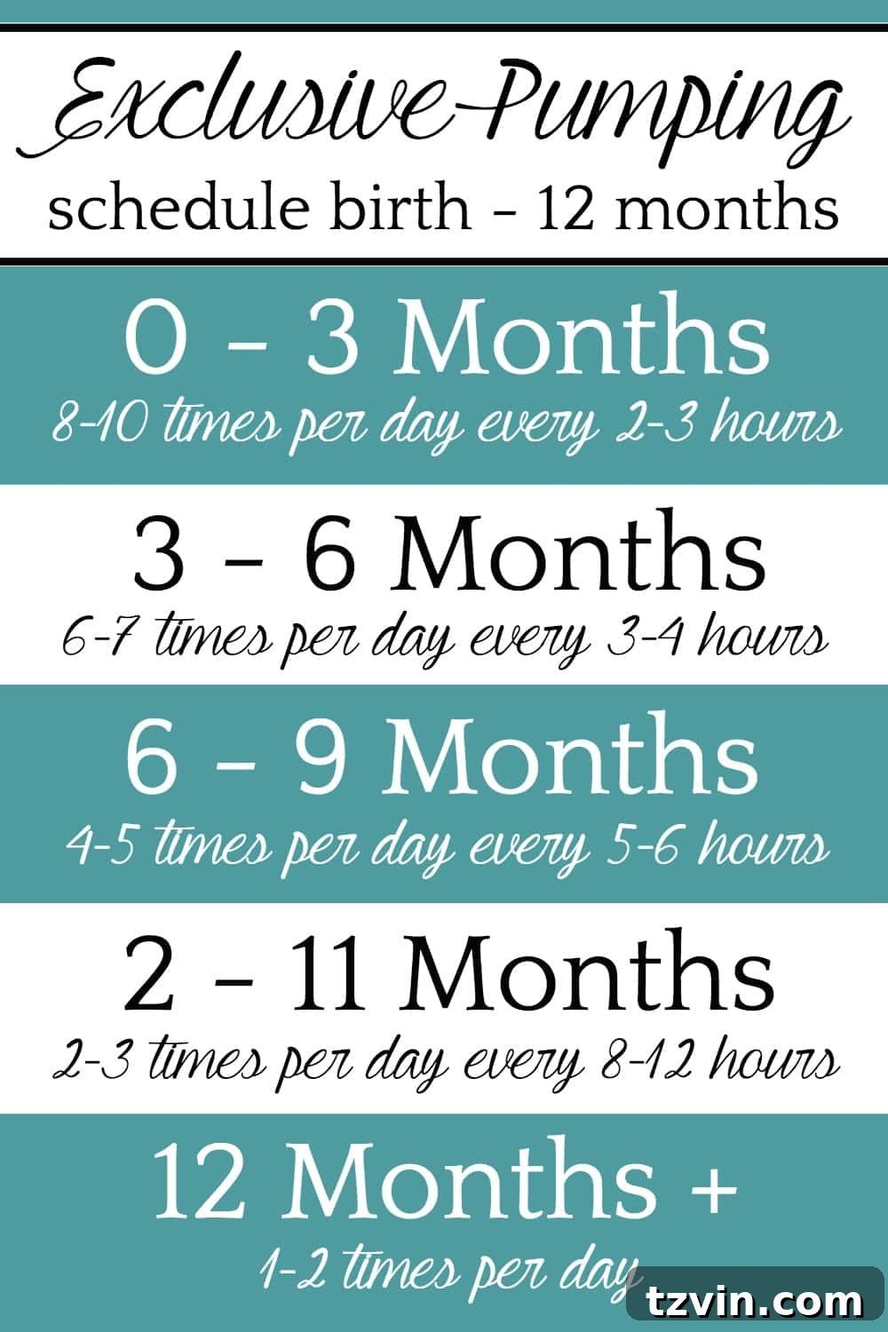 Exclusive Pumping Hacks Schedule