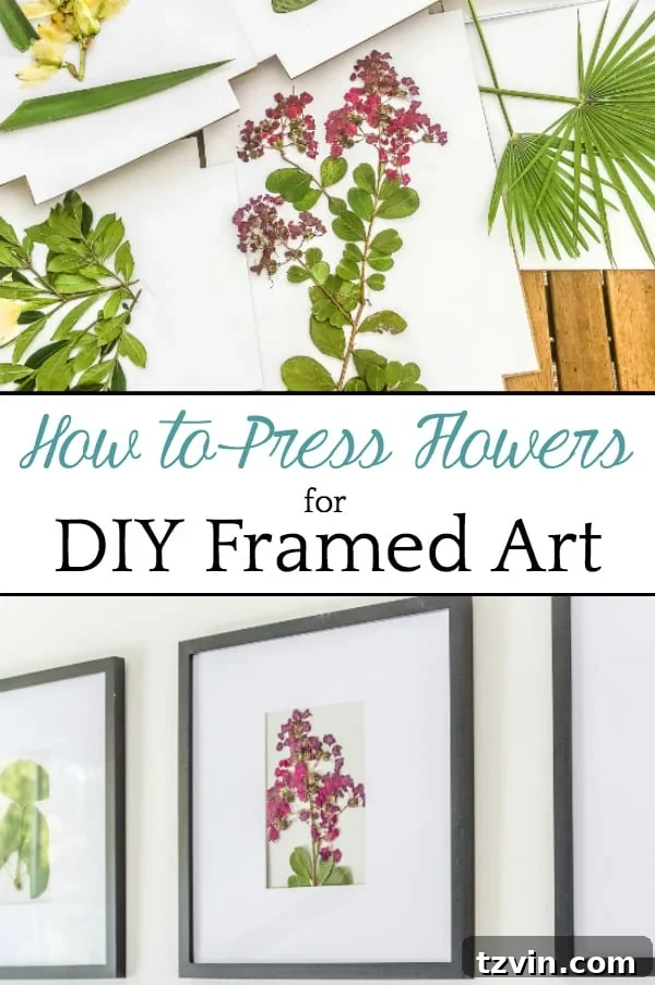 DIY Pressed Flower Art | How to press flowers and leaves from your own backyard to frame as inexpensive, vintage-inspired wall decor. 