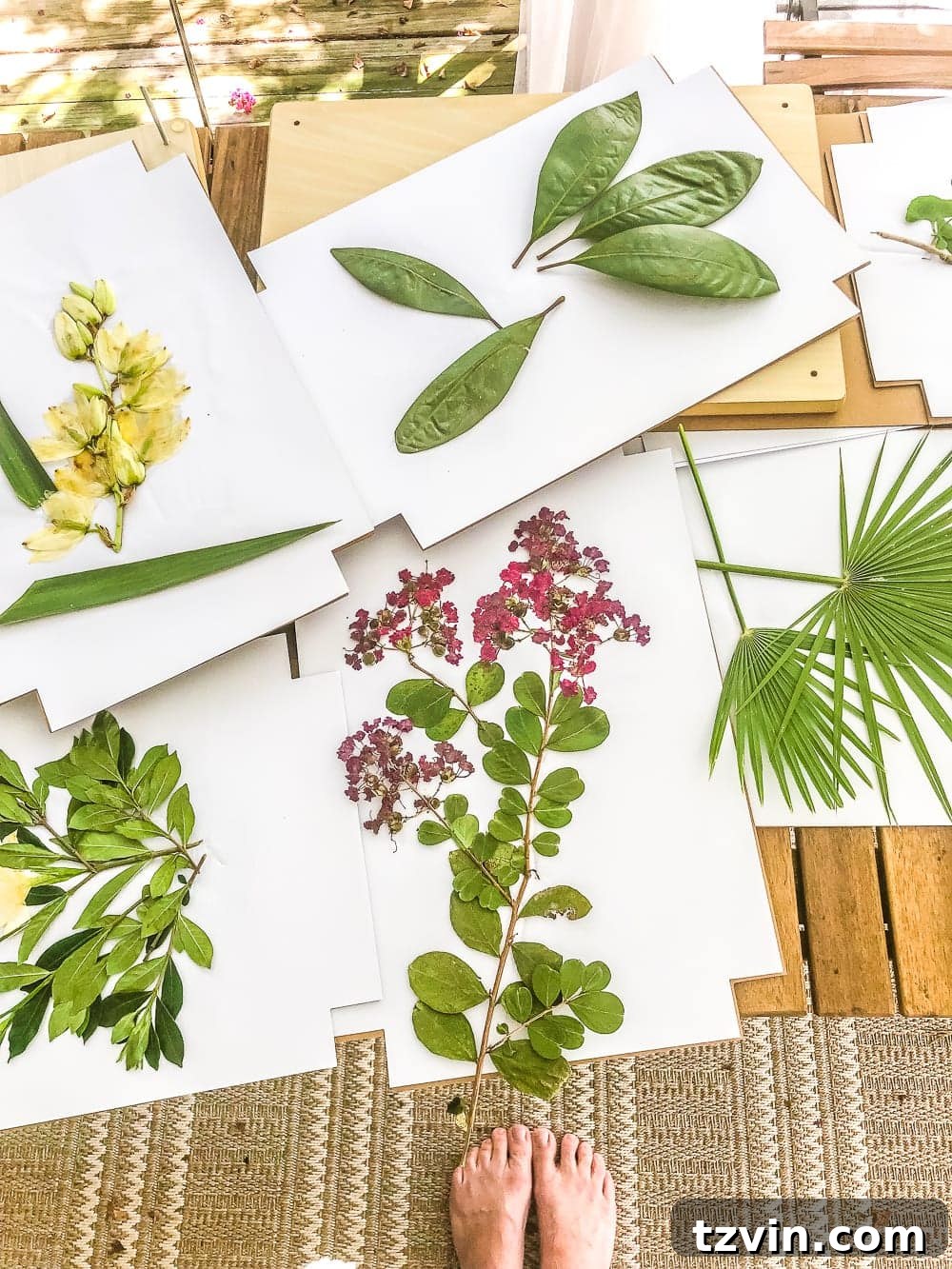 DIY Pressed Flower Art | How to press flowers and leaves from your own backyard to frame as inexpensive, vintage-inspired wall decor. 
