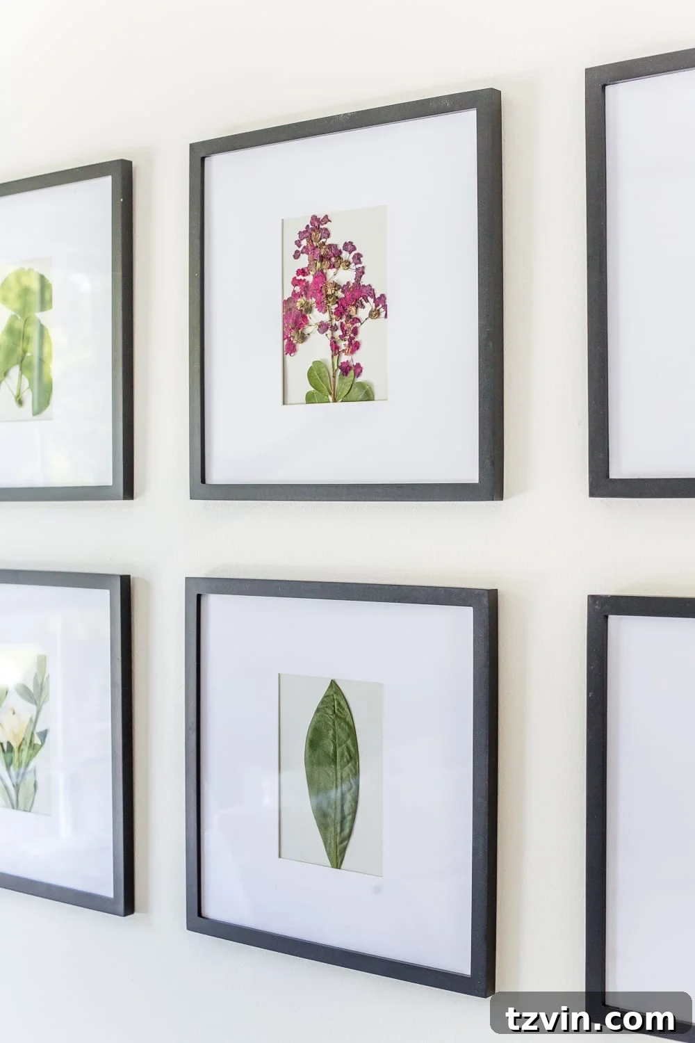 DIY Pressed Flower Art | How to press flowers and leaves from your own backyard to frame as inexpensive, vintage-inspired wall decor. 