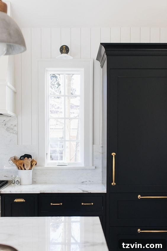 Black Paint Inspiration - Dining Room