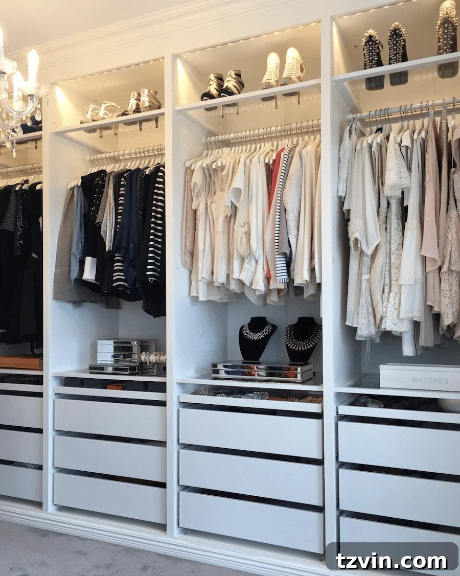 30 Incredible IKEA Pax Closet Transformations 18 built in IKEA closet system with clear shelves for shoes