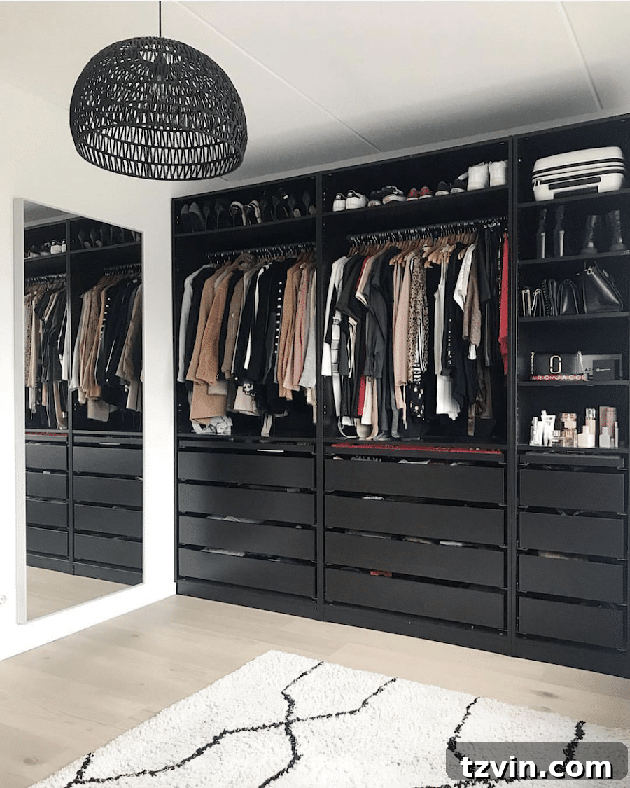 30 Incredible IKEA Pax Closet Transformations 20 black built in bedroom closet