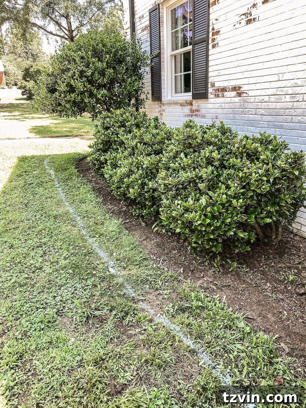 DIY Front Yard Flower Bed Glow Up 7 White spray paint marking the curved edge of a new garden bed