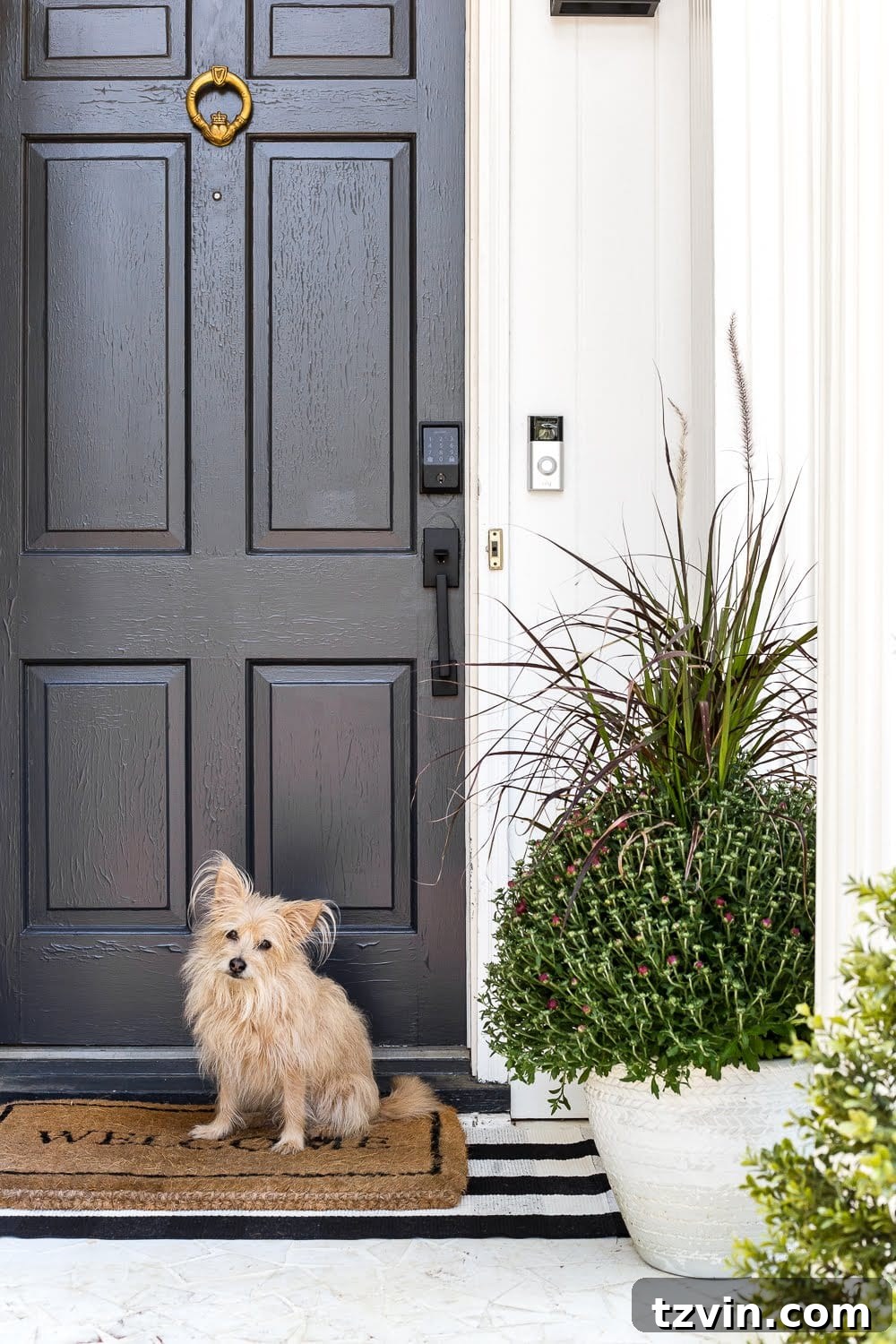 Fall Home Comforts: DIY Inspiration 11 fall planters on a front porch with mums and ornamental grass