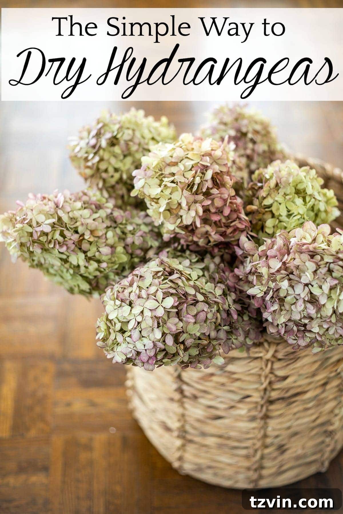 Beautifully dried hydrangeas showcased as elegant fall decor.