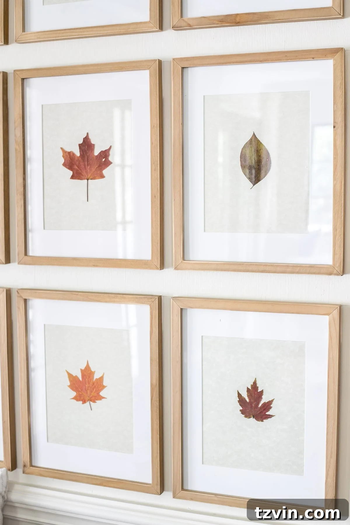 framed pressed fall leaves