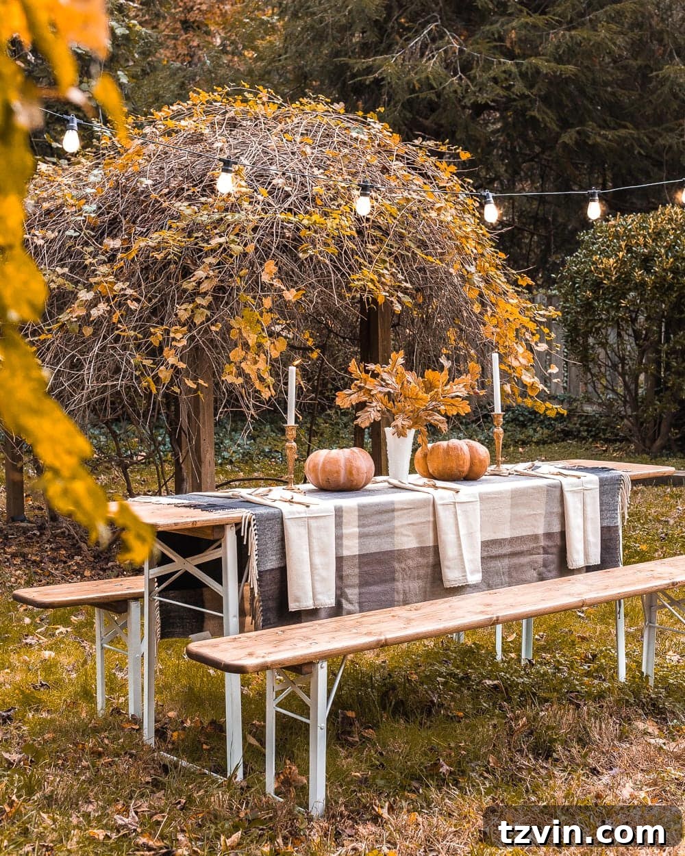 fall outdoor dining