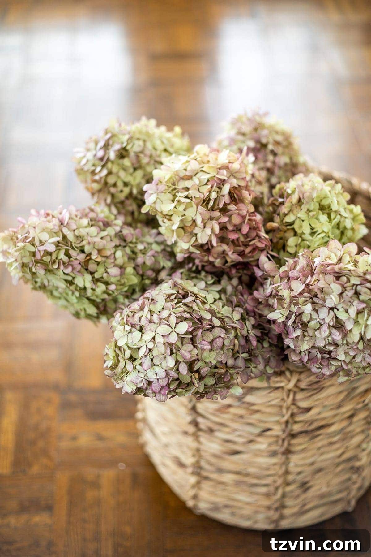 Forever Flowers: Drying and Preserving for Stunning Home Decor 7 dried and preserved hydrangeas in a basket, showcasing a beautiful autumnal collection