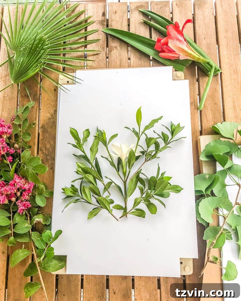Forever Flowers: Drying and Preserving for Stunning Home Decor 9 making pressed flower art, a creative way to preserve botanical beauty