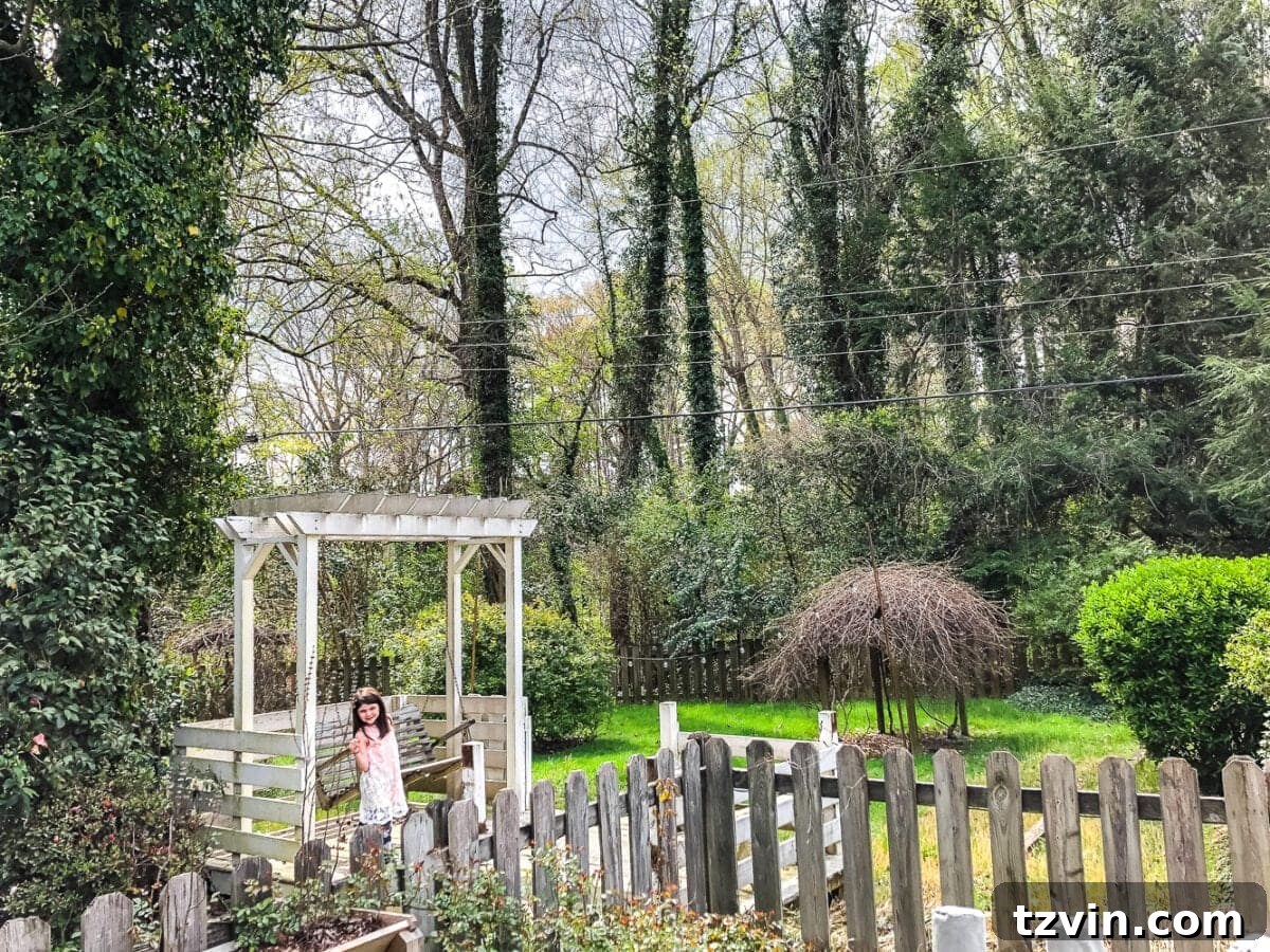15 Mesmerizing Fire Pit Decor Transformations 3 Overgrown backyard before landscaping transformation