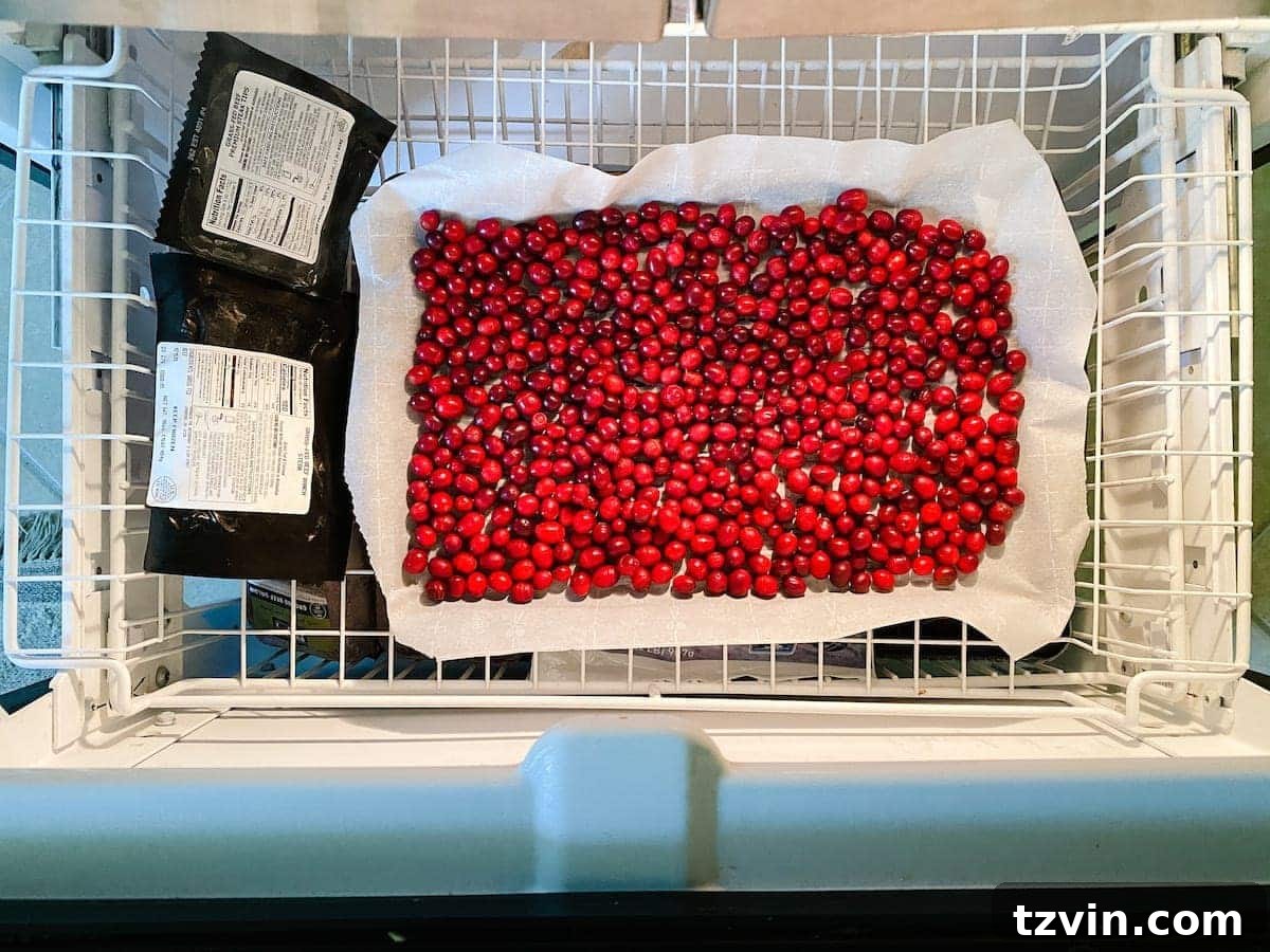 Harvesting Holiday Beauty: Drying Fruit and Preserving Leaves 9 Beautifully dried cranberries ready for use in Christmas decor