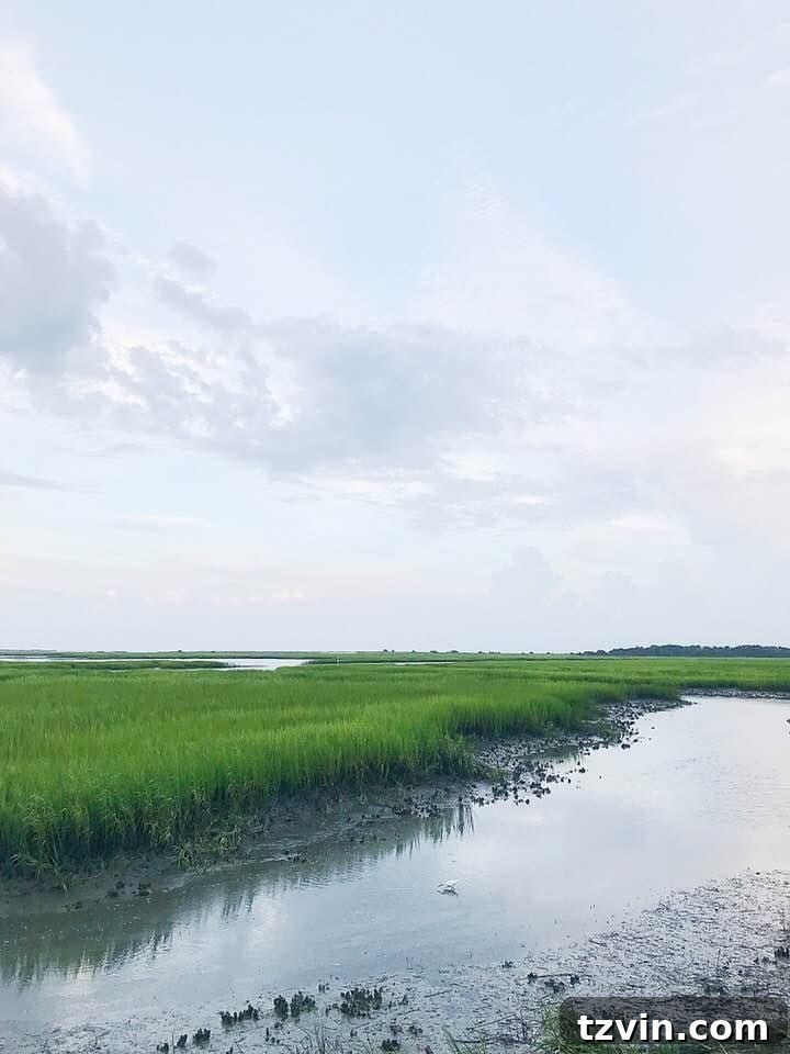The picturesque Murrells Inlet, South Carolina, a popular coastal destination.
