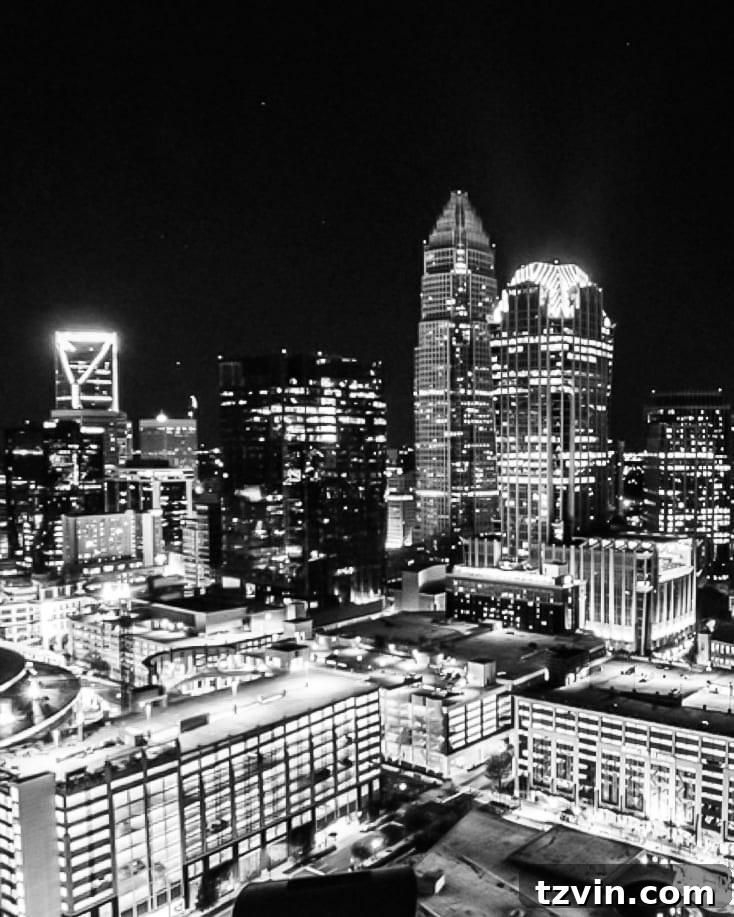 The stunning skyline view of Charlotte from Fahrenheit restaurant.
