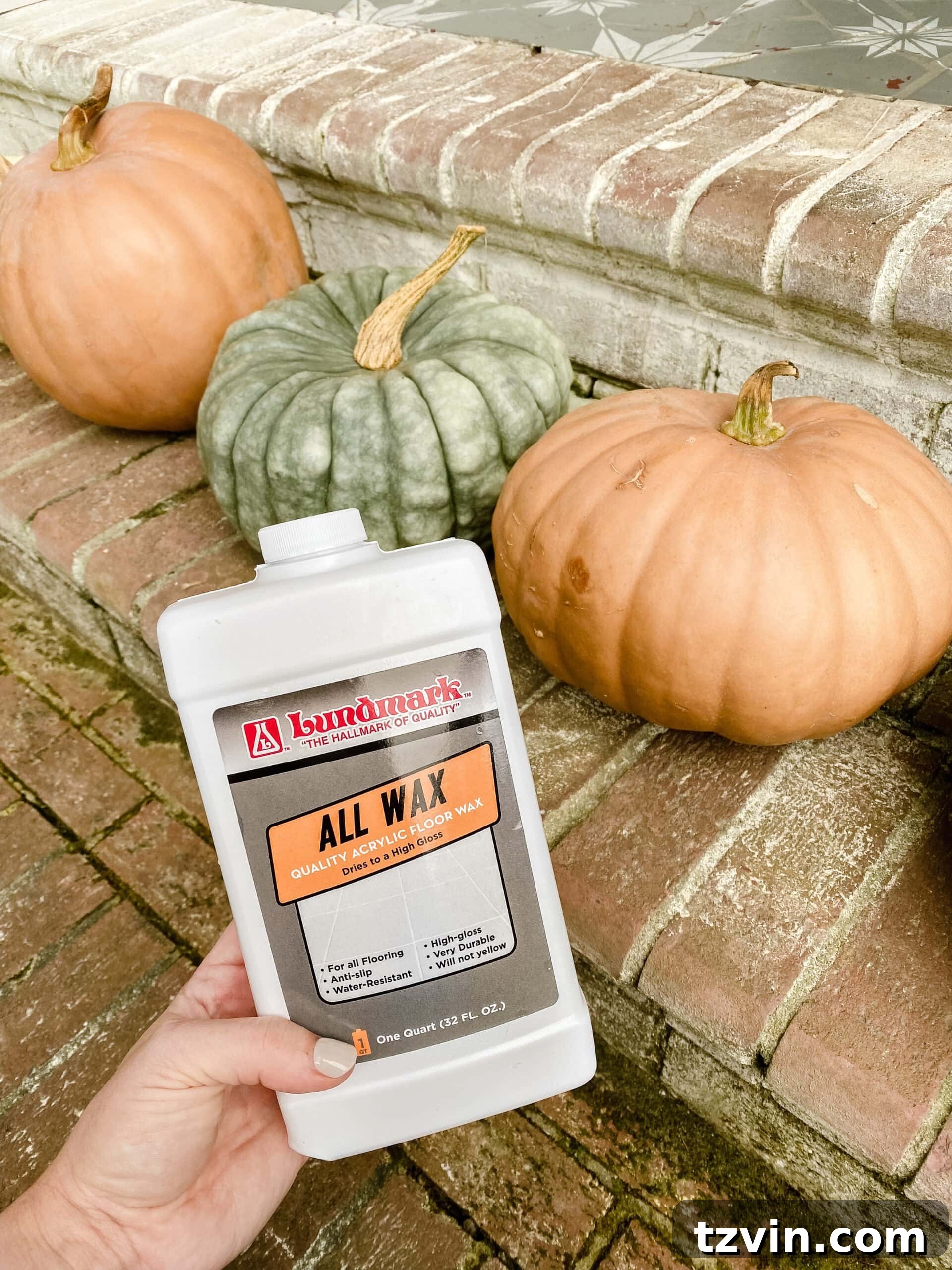 Stop Pumpkins from Rotting The 60 Second Solution 5 how to keep pumpkins from rotting using floor wax