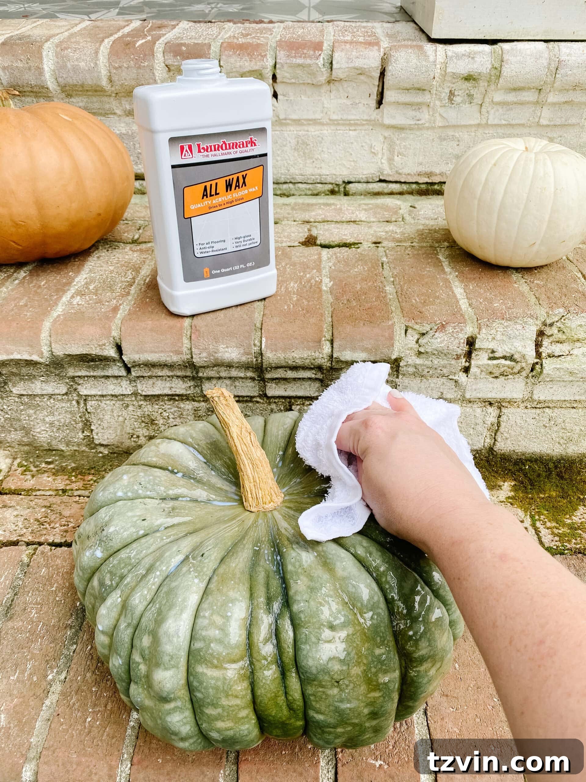 Stop Pumpkins from Rotting The 60 Second Solution 6 how to make pumpkins last longer using floor wax