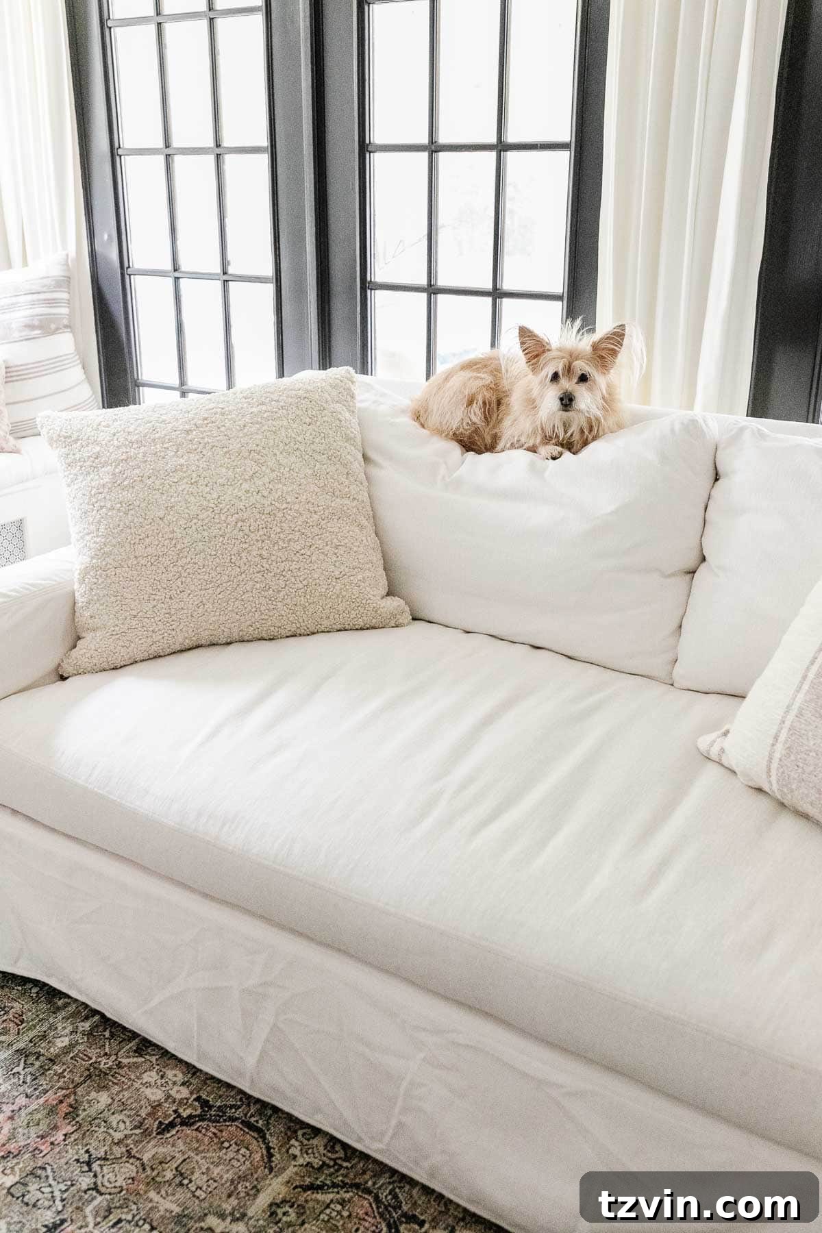pottery barn sofa