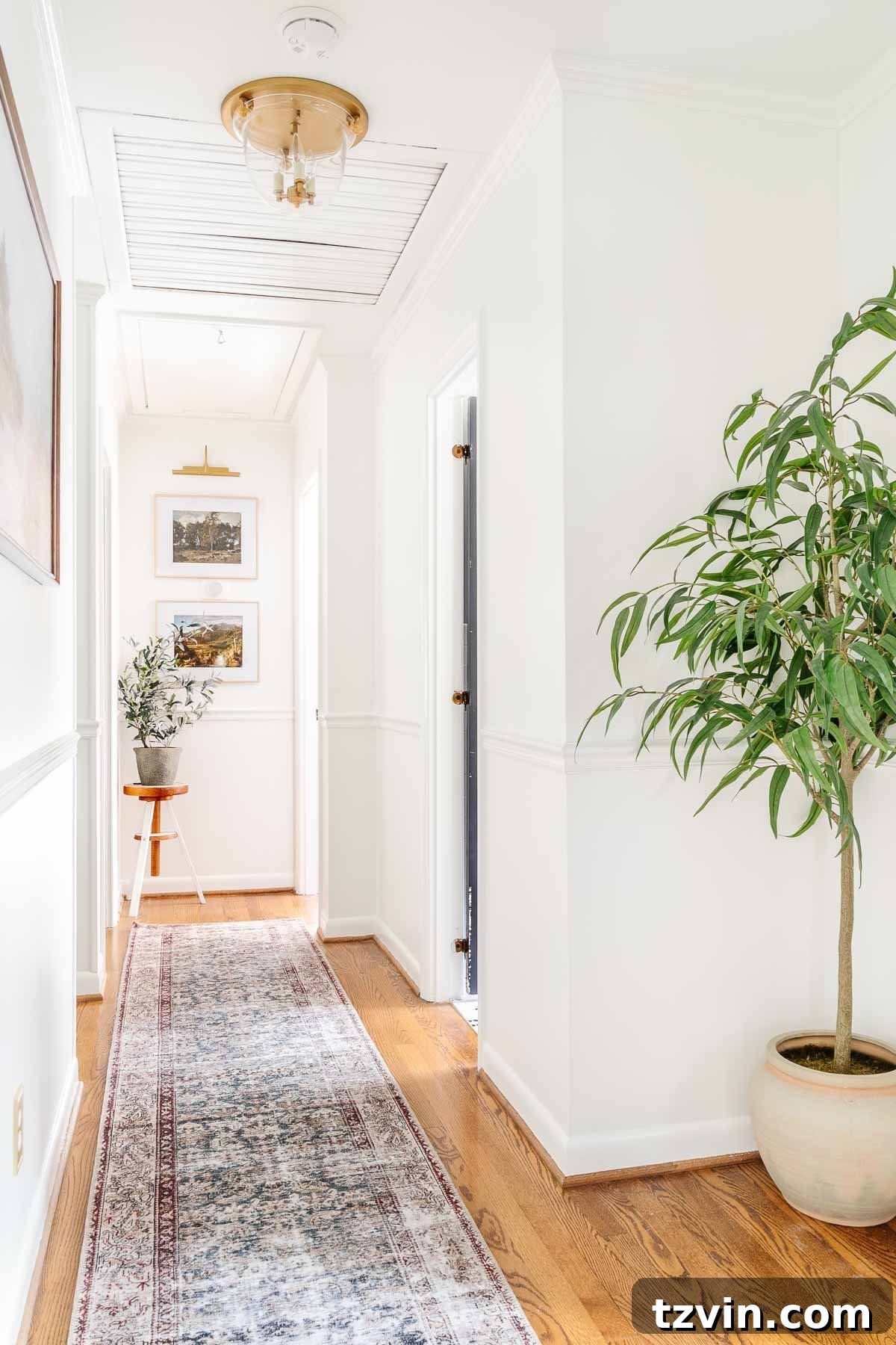 Small hallway with light walls, adding art, a runner, plants, and interesting lighting