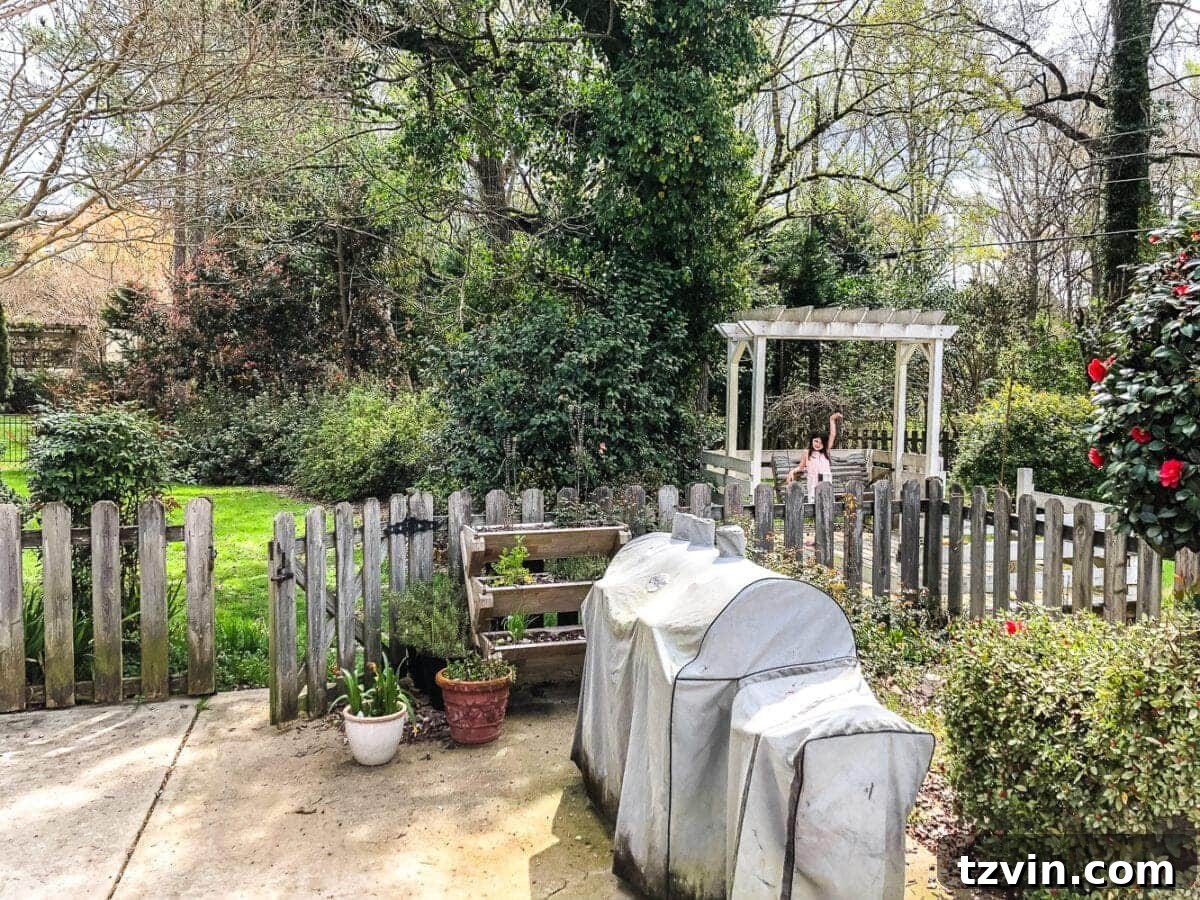 What We Really Paid for Our Backyard Oasis 12 backyard renovation before tree and shrubbery removal