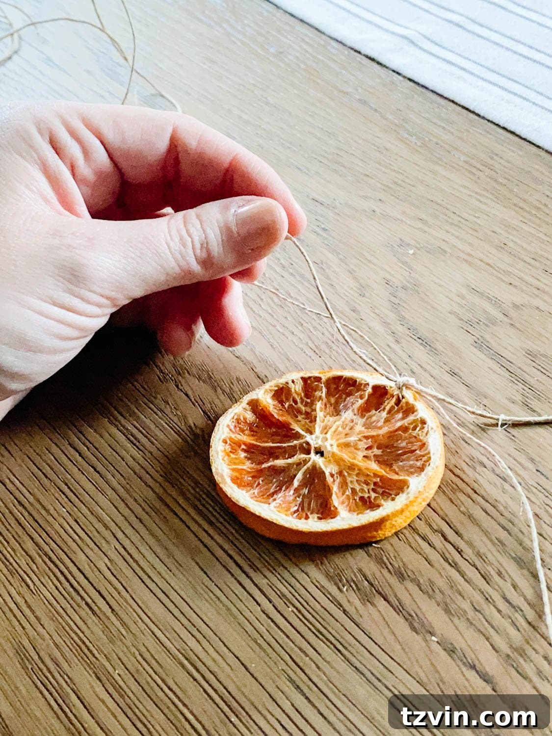 Craft Your Own Beautiful Dried Orange Garland 7 Demonstration of tying a dried orange slice onto a long strand of twine, showing the secure knot.