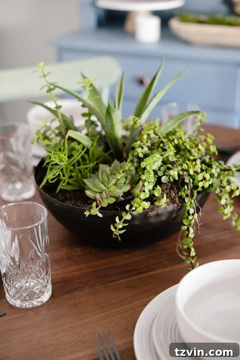 Transform Your Dining Nook Instantly 10 bowl planter succulent garden