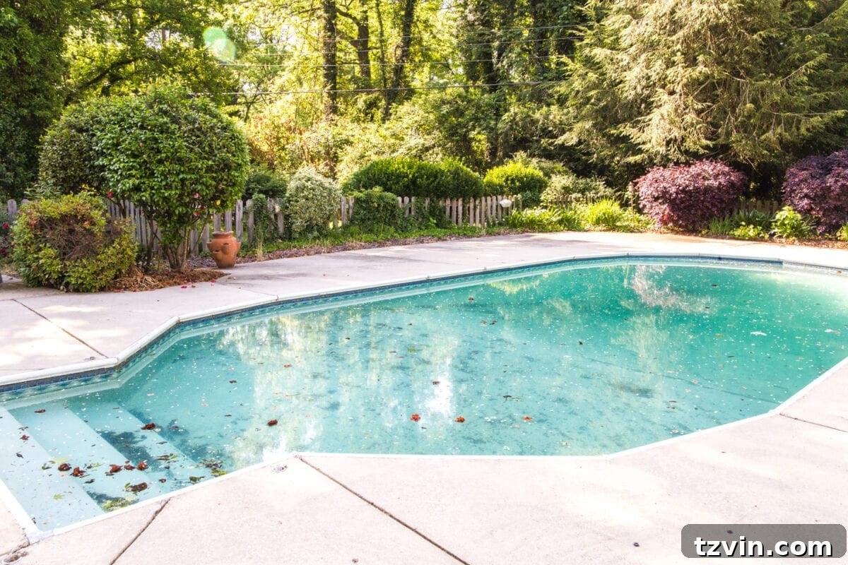 swimming pool before renovation showing a neglected and uninviting backyard space
