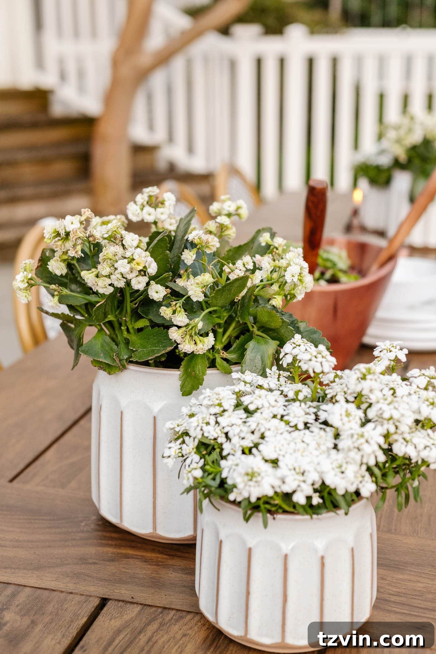 Decorative Better Homes & Gardens planters adorning an outdoor dining table, adding a touch of greenery and style