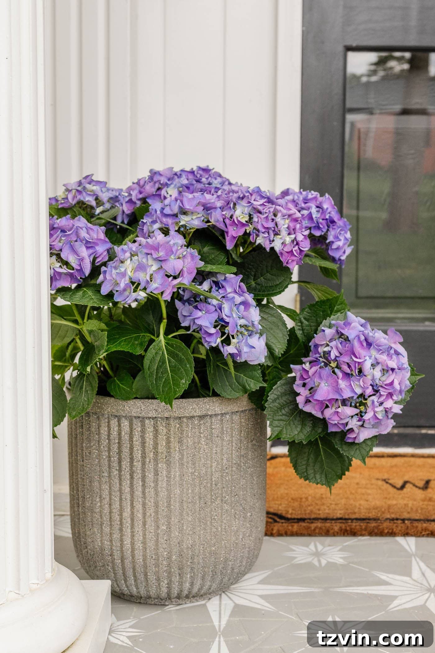 finished faux DIY concrete planters with fluted detail and purple hydrangea flowers on a front porch