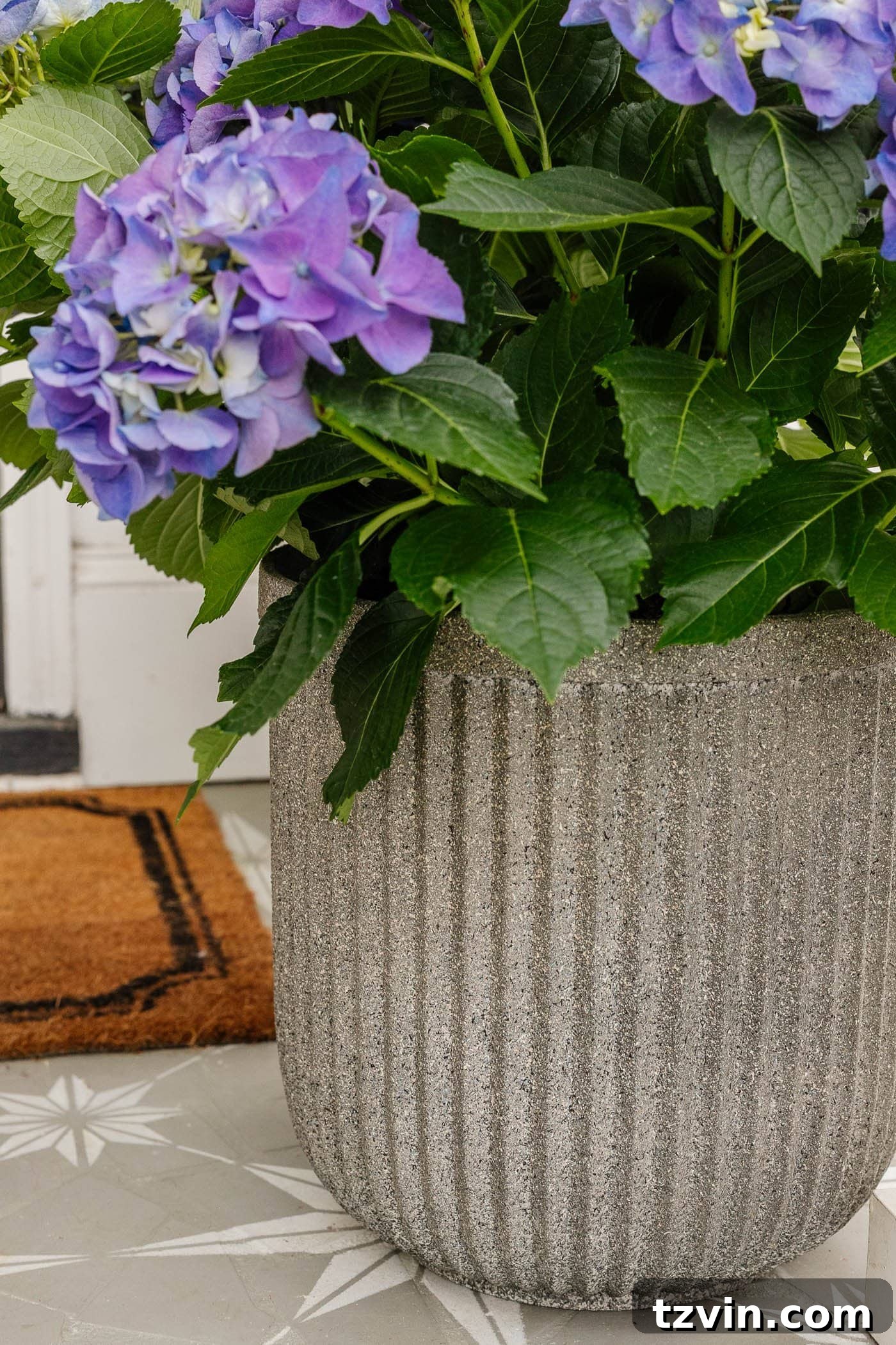 close up of fluted faux DIY concrete planters made with spray paint on cheap resin planters