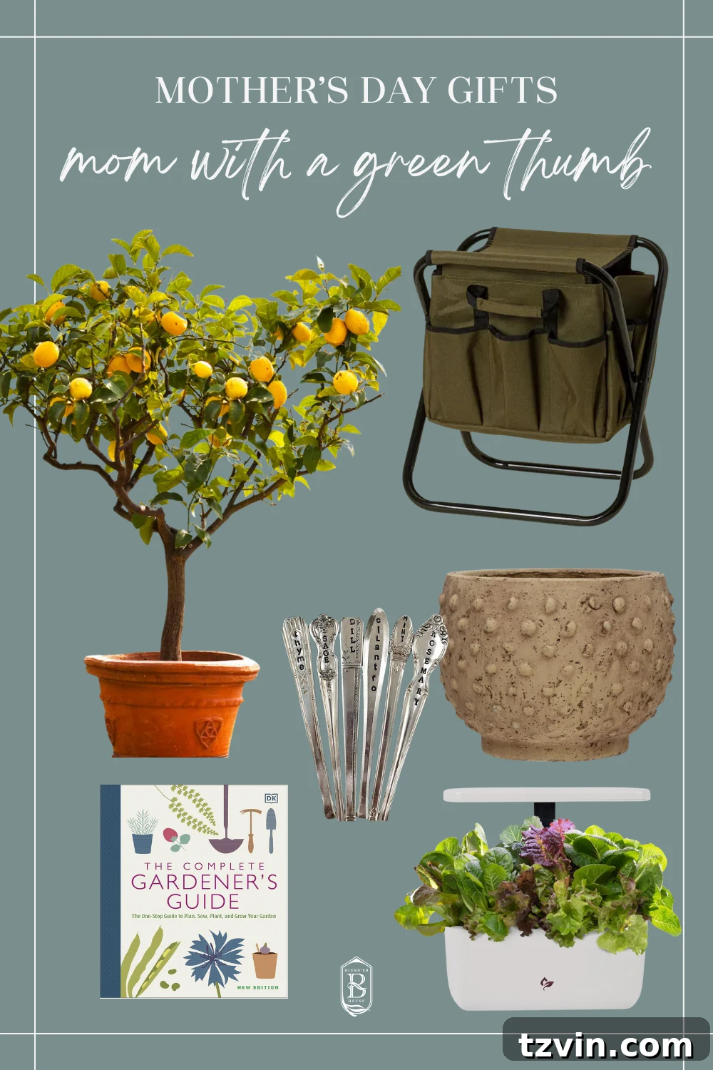 Mother's Day Gifts She'll Truly Cherish 6 Gardening-themed Mother's Day gifts including plants and tools