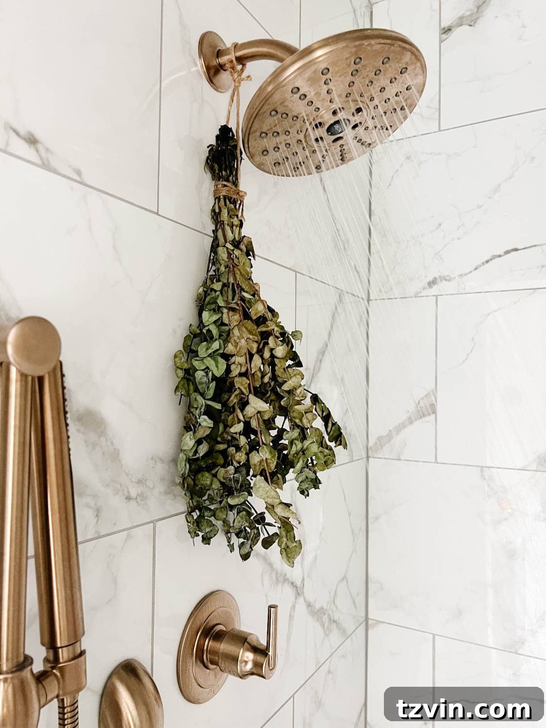 Attainable Luxury: Spa Bathroom Ideas for Every Home 6 eucalyptus hanging from shower head for aromatherapy