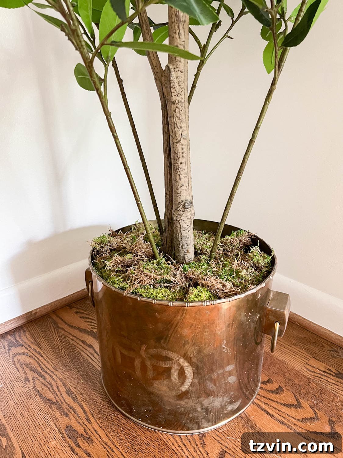 The Art of Creating Realistic Faux Trees 7 Vintage brass planter expertly stuffed with bubble wrap and topped with moss, making a faux tree look incredibly realistic (close up)