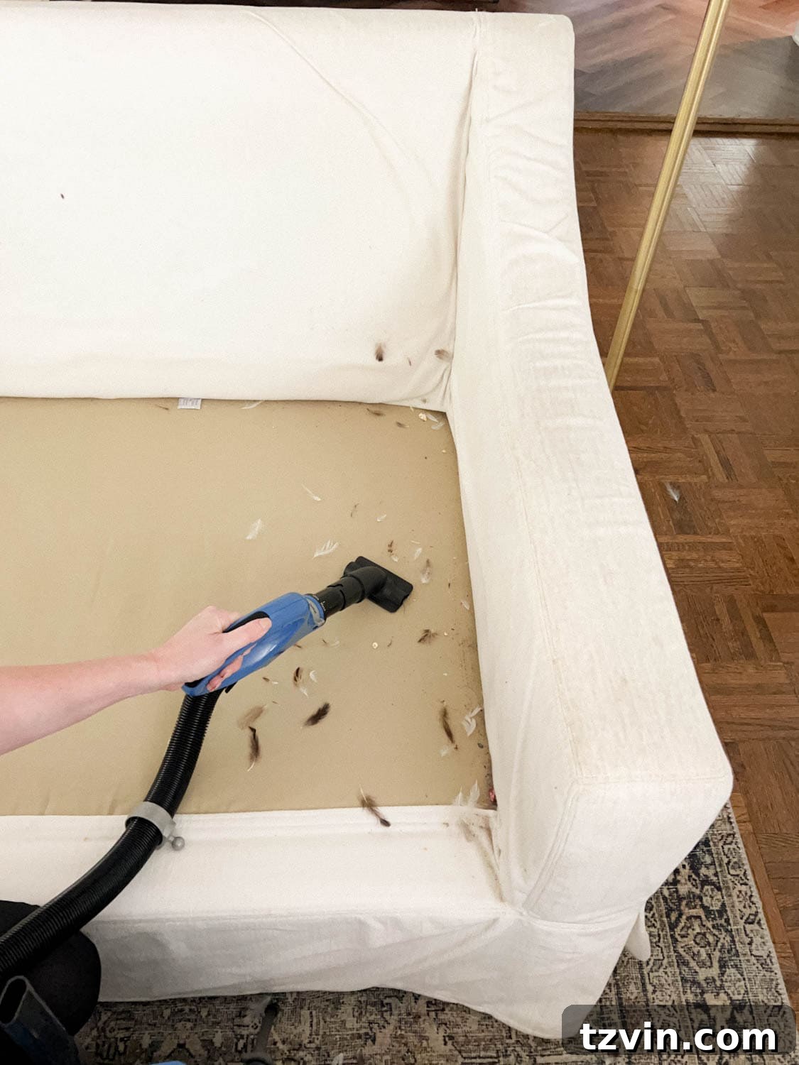 Vacuuming loose debris and dirt from underneath sofa cushions.