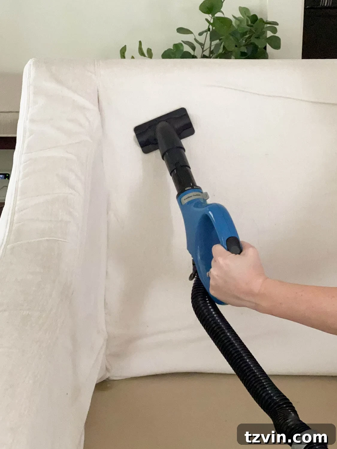 Using a vacuum wand attachment to clean sofa upholstery, removing embedded dirt and pet hair.