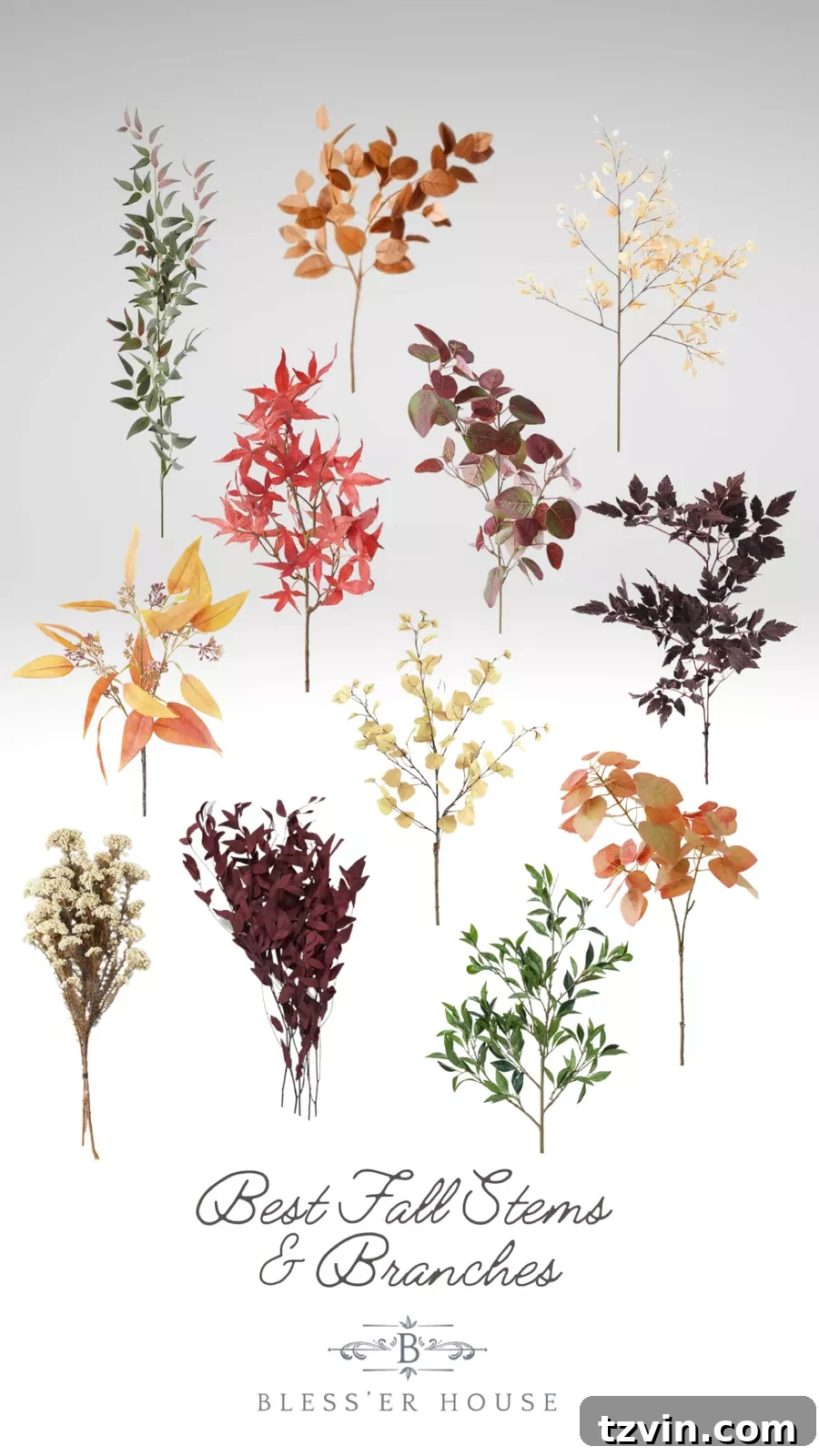 best fall branches and stems